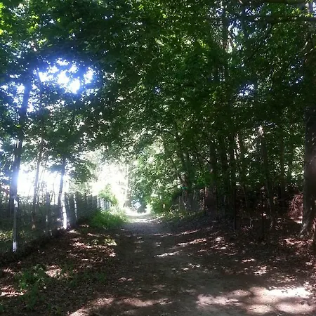 Holzhaus Trollbluemchen Am Wald Und See Neuruppin Extérieur photo