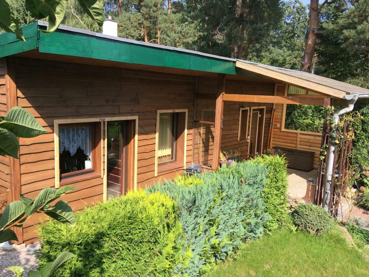 Holzhaus Trollbluemchen Am Wald Und